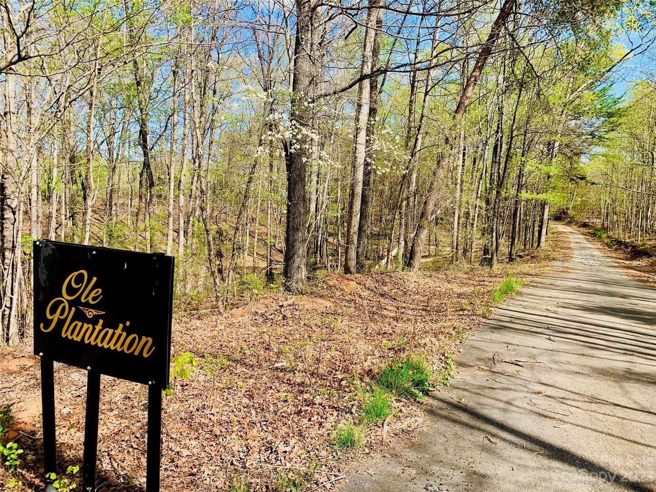 2.2 acres Lot 36 Shady Bark Lane - Photo 1