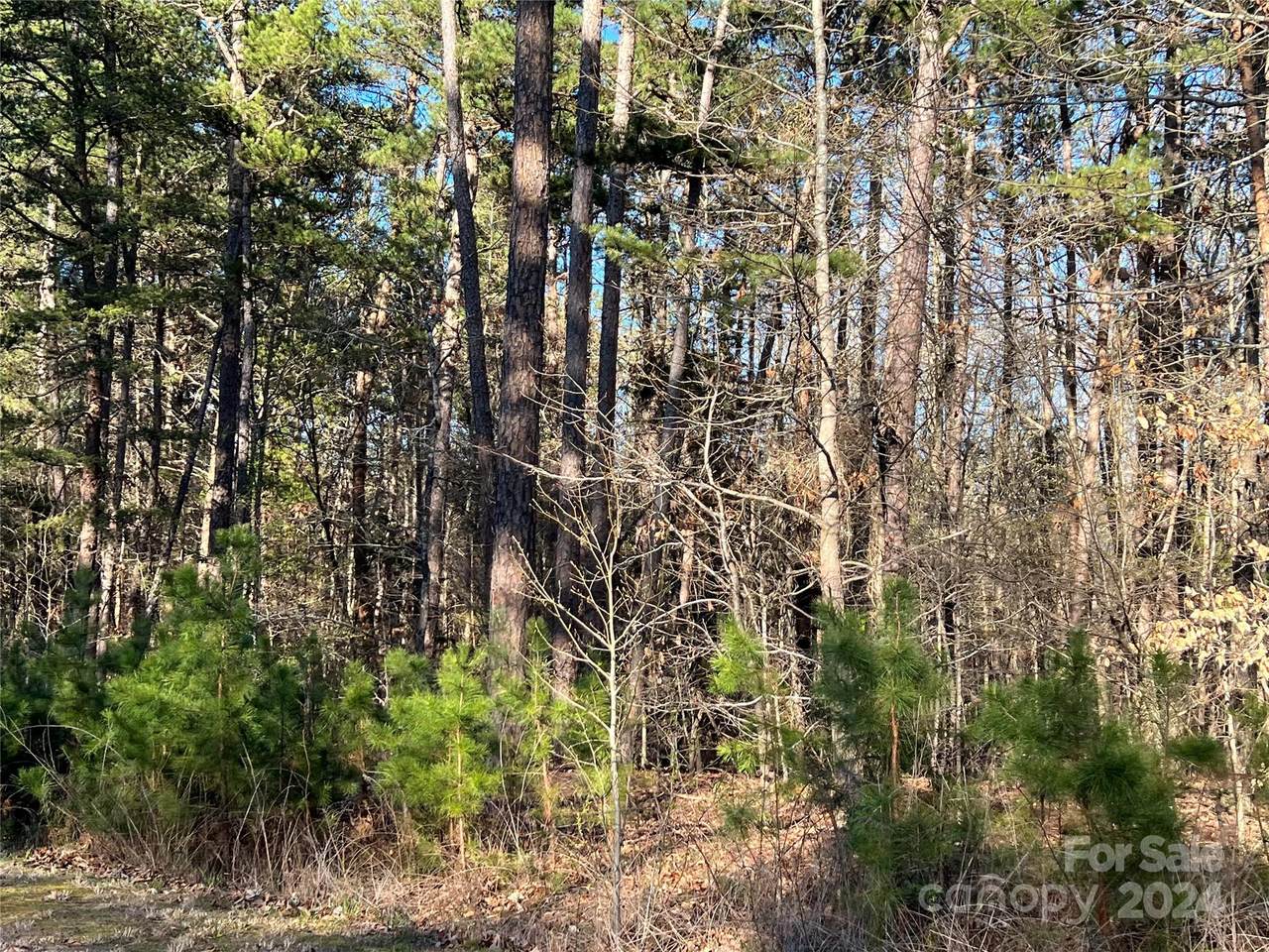 00 Lake Farm Drive - Photo 1