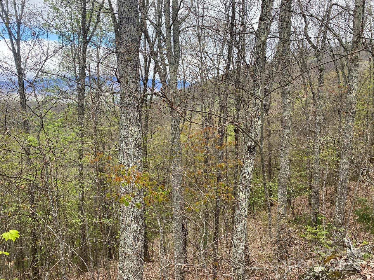 https://bt-photos.global.ssl.fastly.net/cmls/1280_boomver_2_4021610-1.jpg