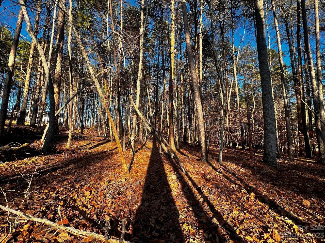 129 Hunt Camp Trail - Photo 1