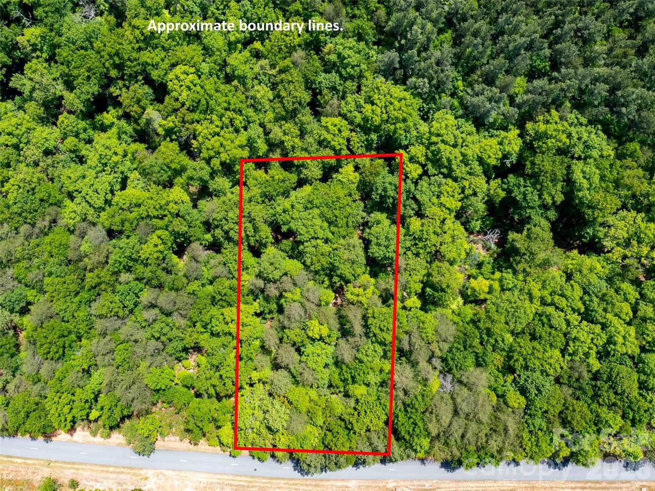 LOT 2009 Deep Gap Farm Road - Photo 1