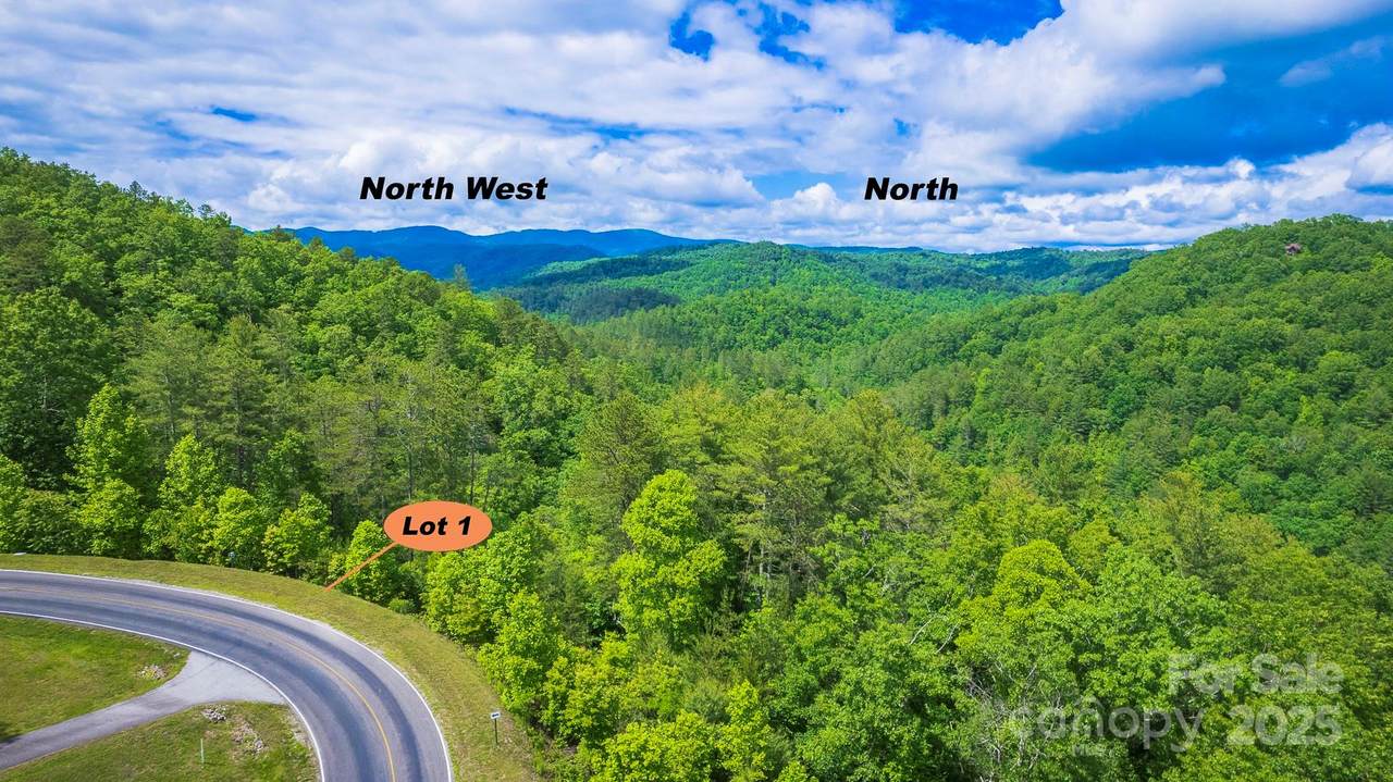 Lot 1 Reynolds Parkway - Photo 1