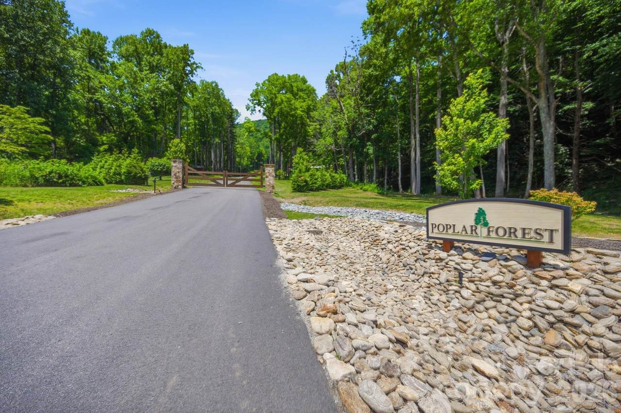 Lot 64 Poplar Forest Drive - Photo 1