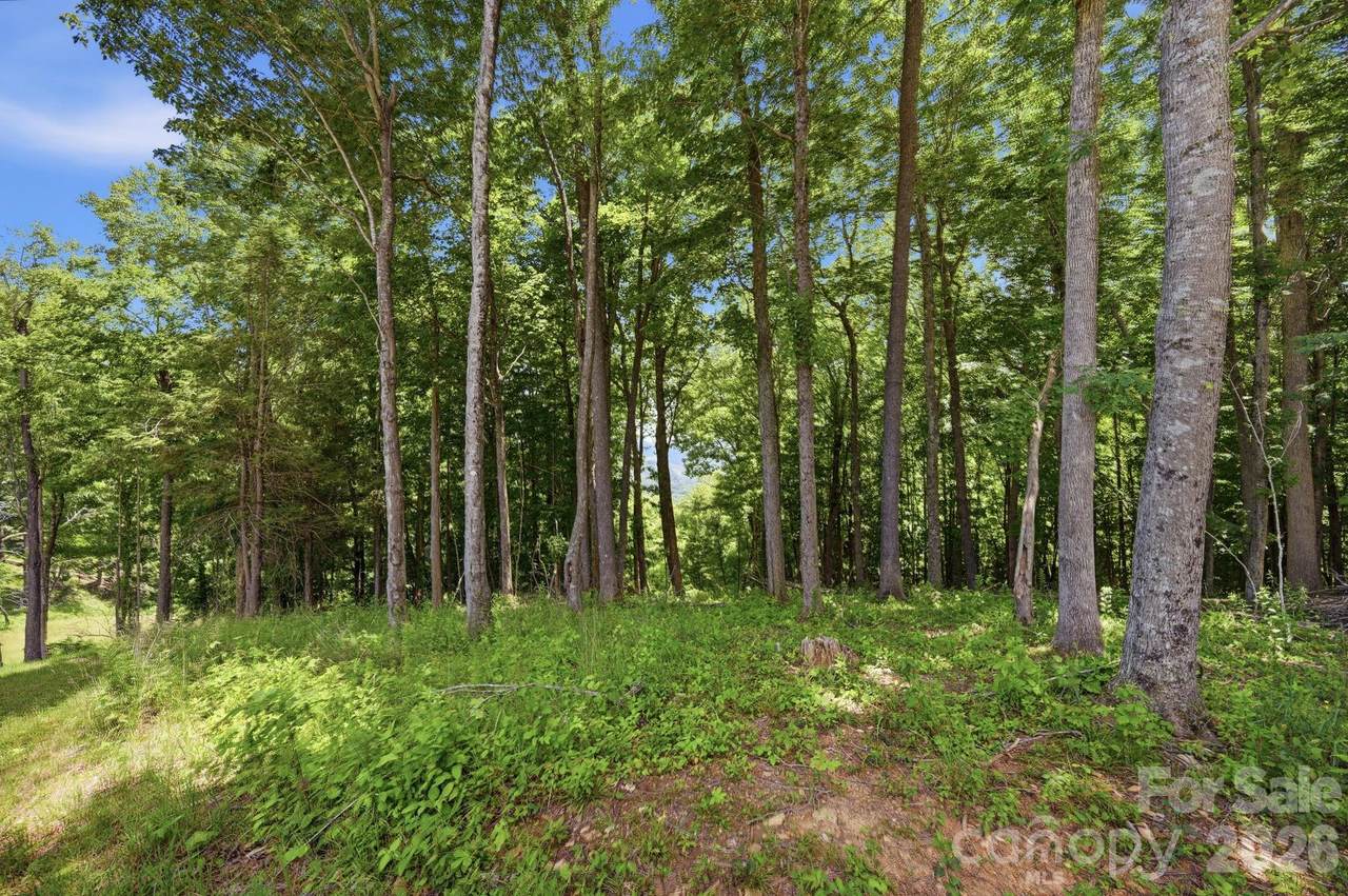 https://bt-photos.global.ssl.fastly.net/cmls/1280_boomver_2_4045171-1.jpg