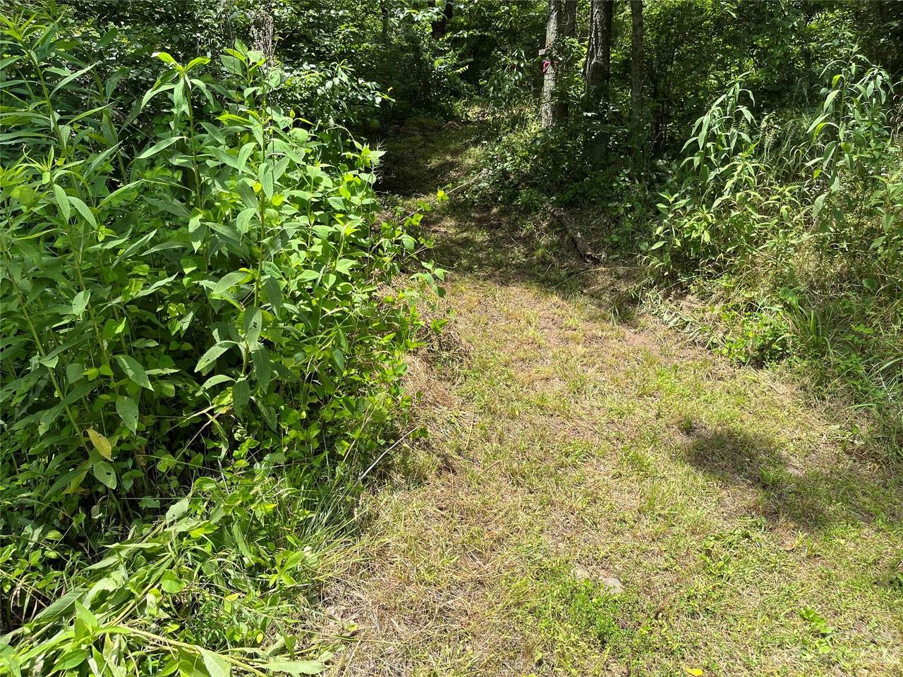 https://bt-photos.global.ssl.fastly.net/cmls/1280_boomver_2_4047565-1.jpg