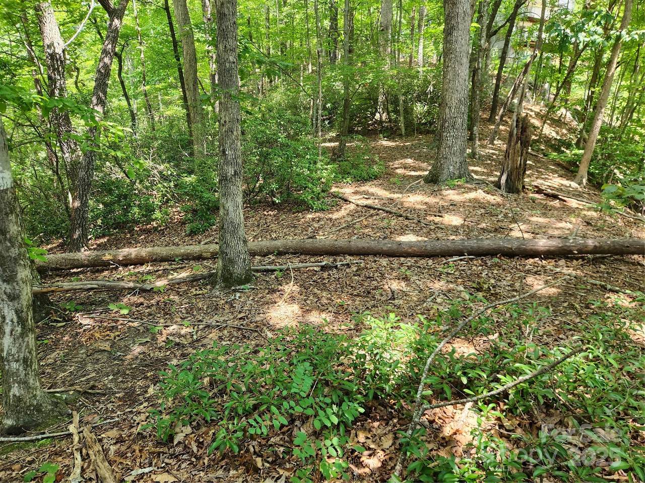 Lot 124, 125, & 101 Banjo Court - Photo 1