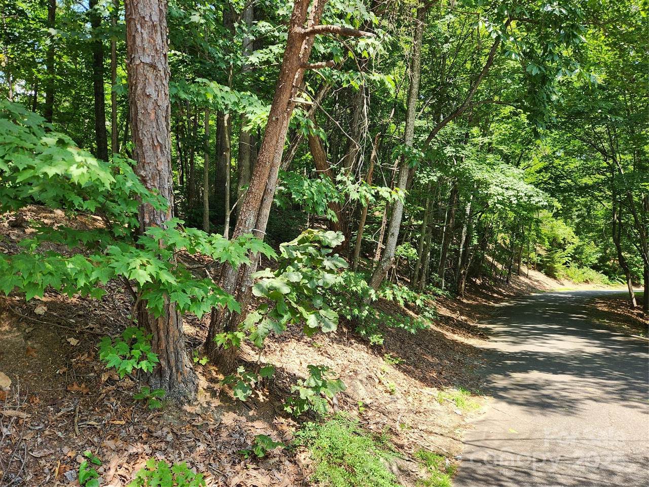 https://bt-photos.global.ssl.fastly.net/cmls/1280_boomver_2_4054840-1.jpg