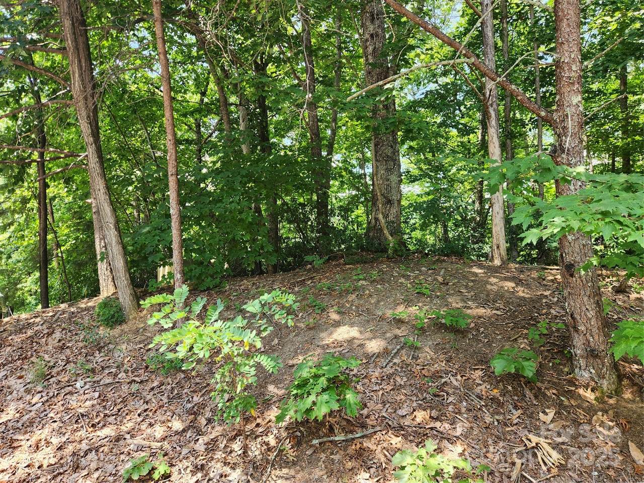 https://bt-photos.global.ssl.fastly.net/cmls/1280_boomver_2_4054840-1.jpg