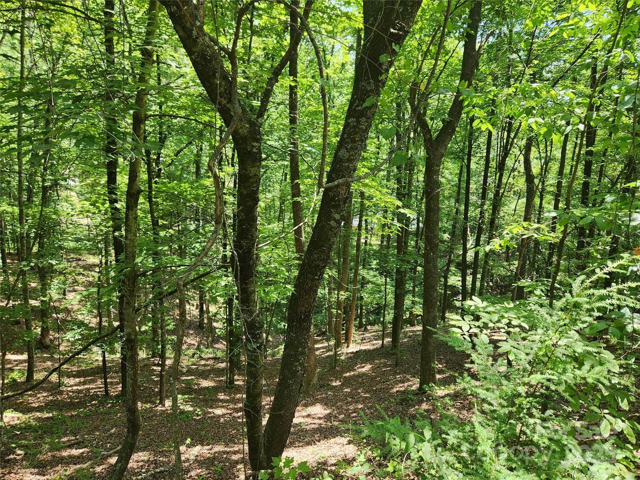 Lot 81, 82, & 88 Walnut Lane - Photo 1