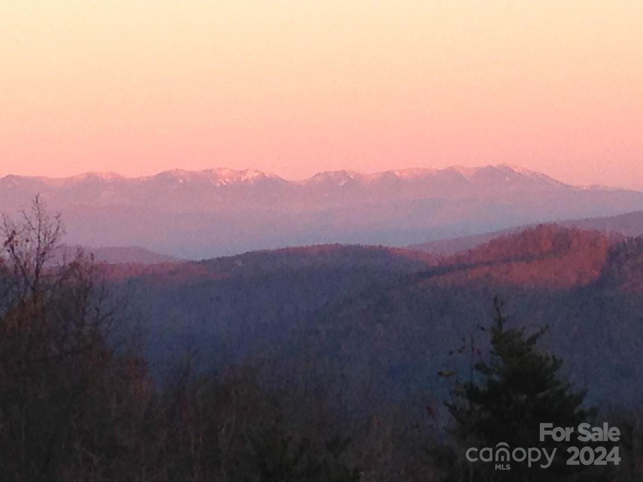 1282 Locust Drive - Photo 1