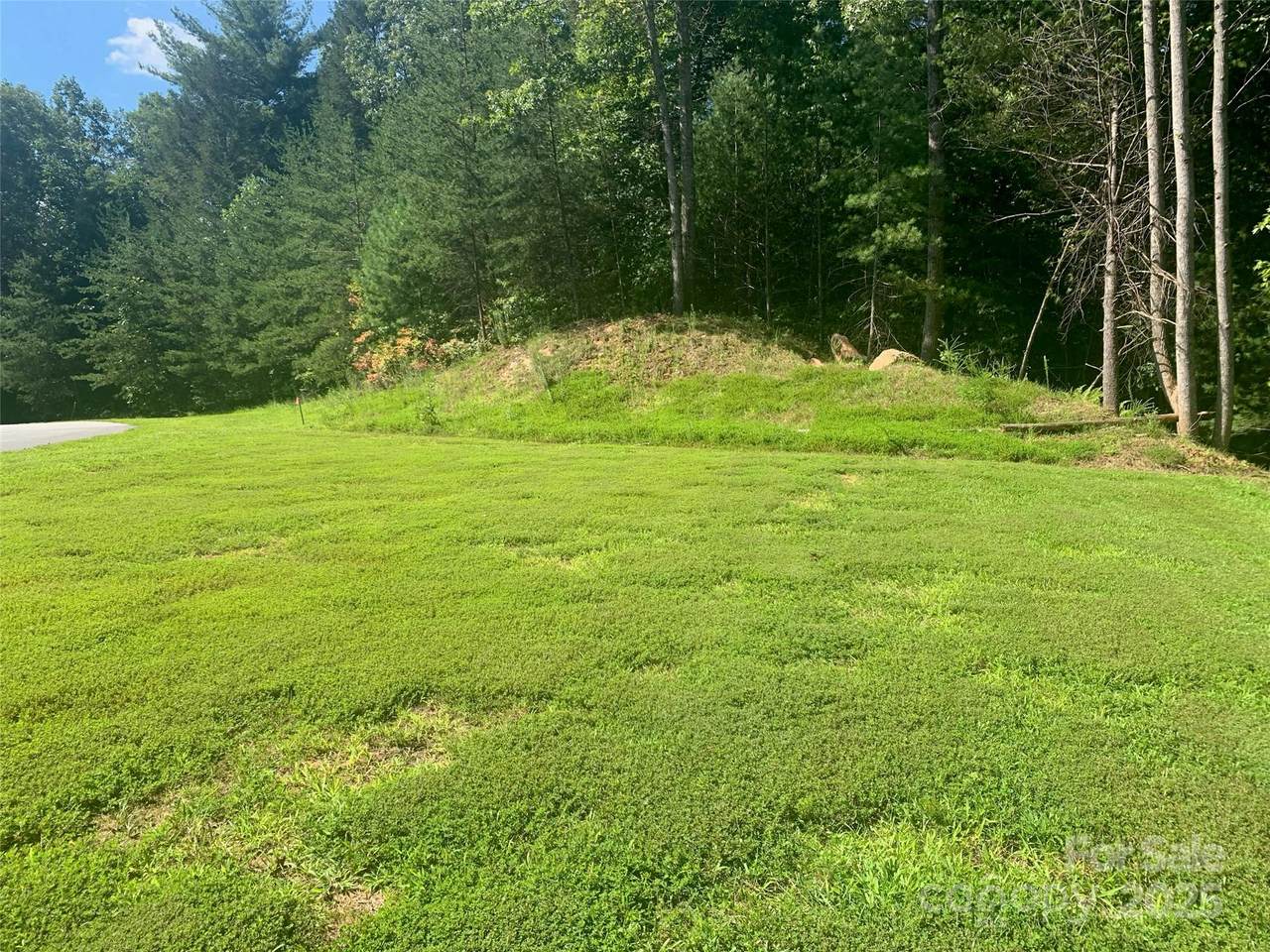 2.32 acres Lot 72 Round Mountain Parkway - Photo 1