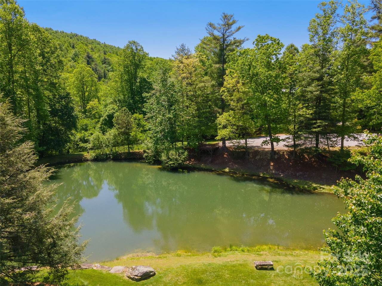 98 Flameleaf Lane - Photo 1