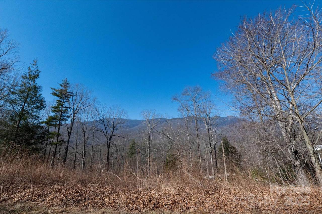000 Mt. Mitchell Drive - Photo 1