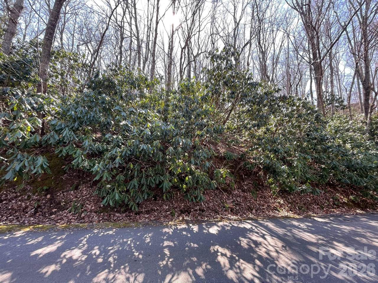111 Deer Run Lane - Photo 1