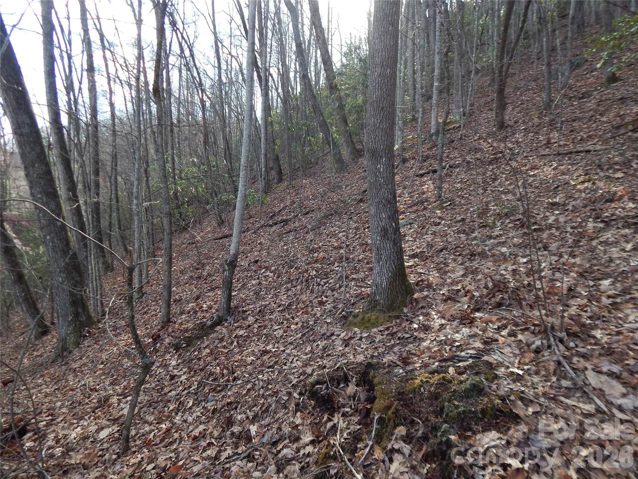 https://bt-photos.global.ssl.fastly.net/cmls/1280_boomver_3_4116516-1.jpg