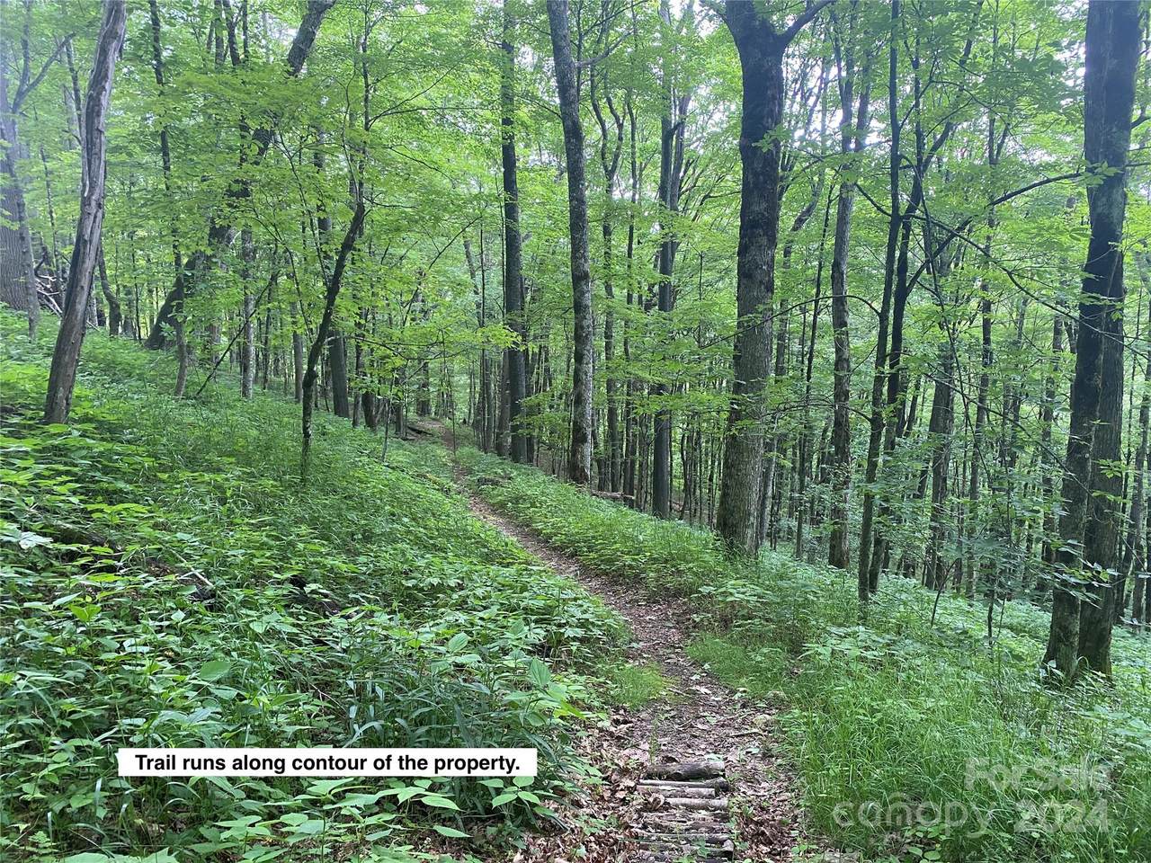 Lots 230-231 Hanging Rock Road - Photo 1