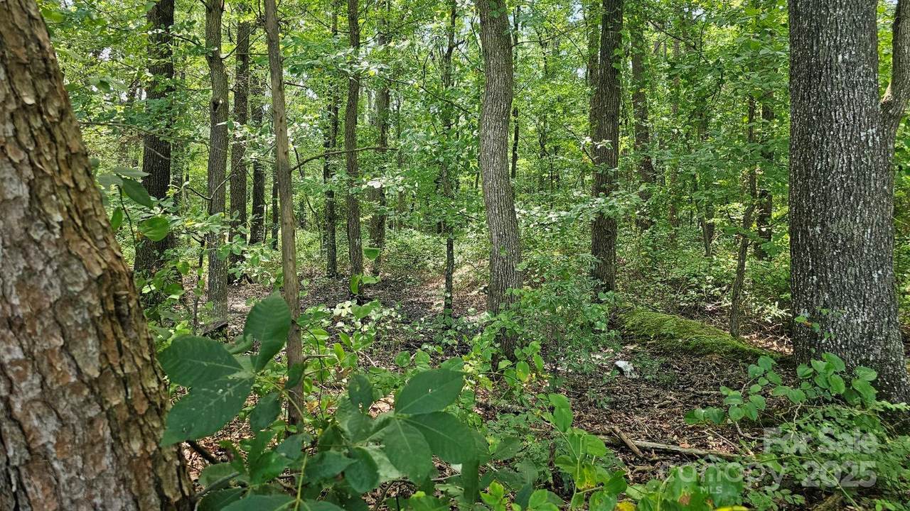 1450 Pork Road - Photo 1