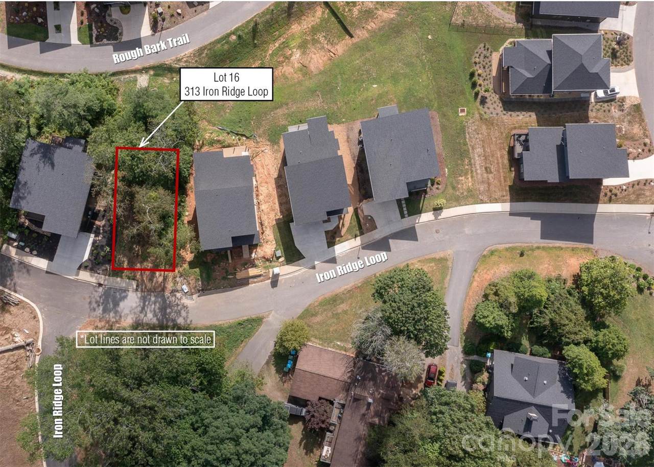313 Iron Ridge Loop - Photo 1
