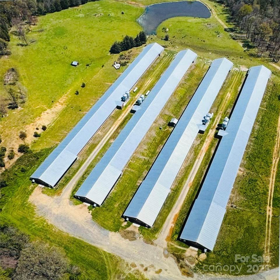 245 Ivy Road - Photo 1