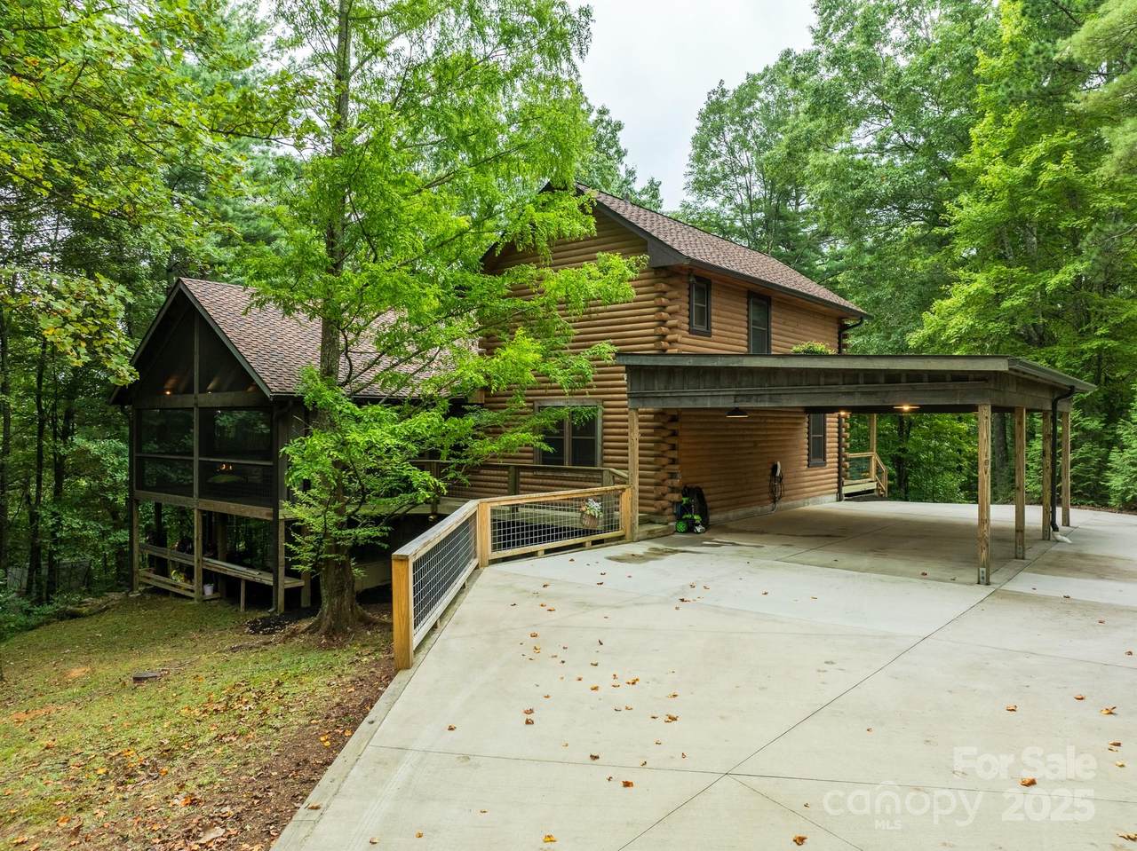 17200 Rosman Highway - Photo 1
