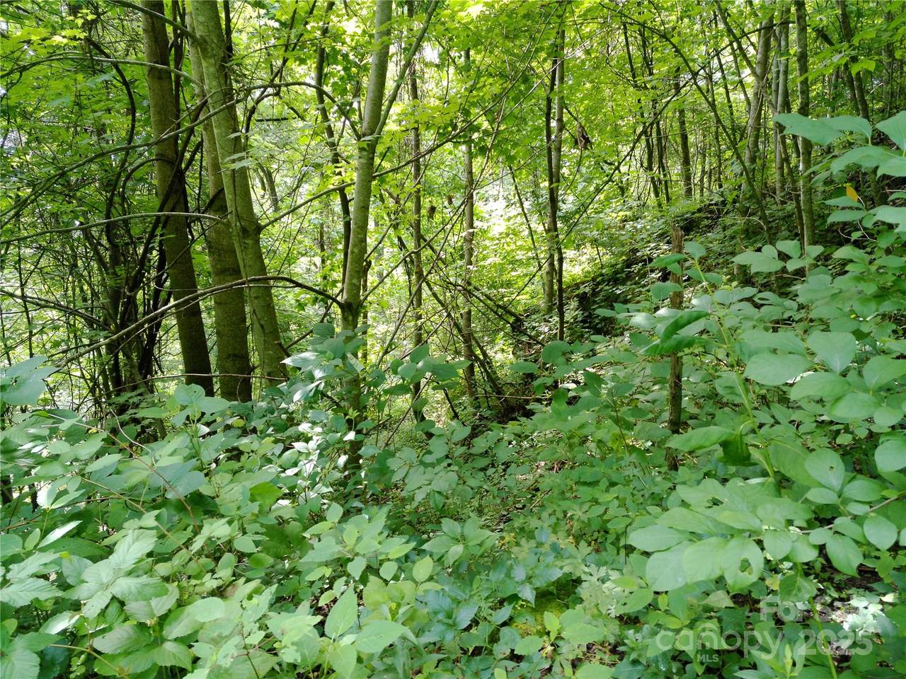 https://bt-photos.global.ssl.fastly.net/cmls/1280_boomver_2_4198131-1.jpg