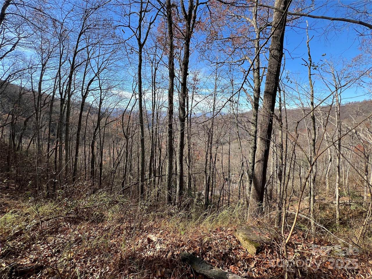 Lot 8 Falls View Drive - Photo 1