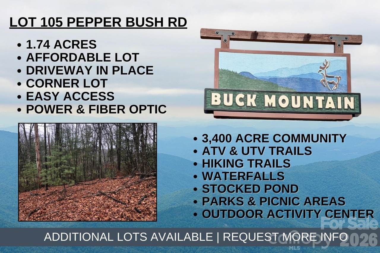 TBD Pepper Bush Road - Photo 1
