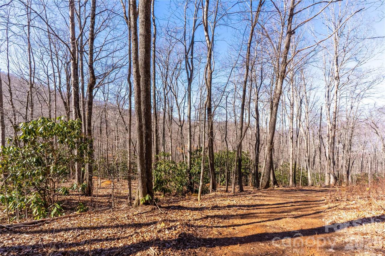 1248 Arborcrest Way - Photo 1