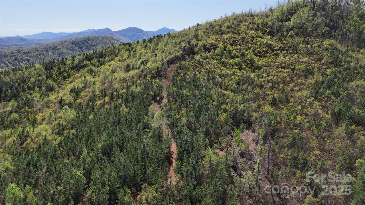 0 Cove Road - Photo 1