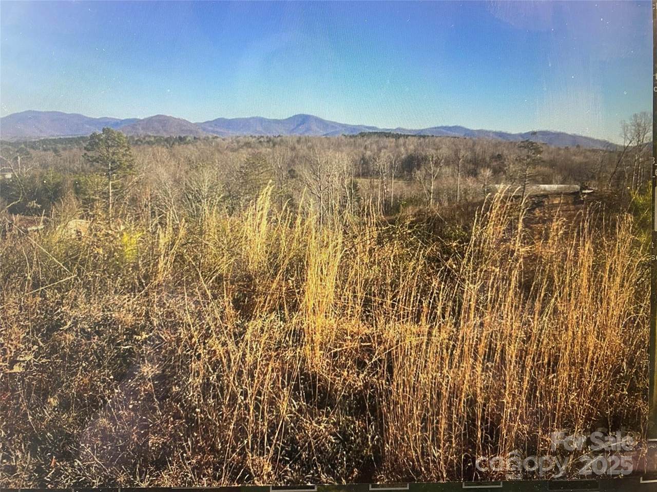 00 Tatertown Loop - Photo 1