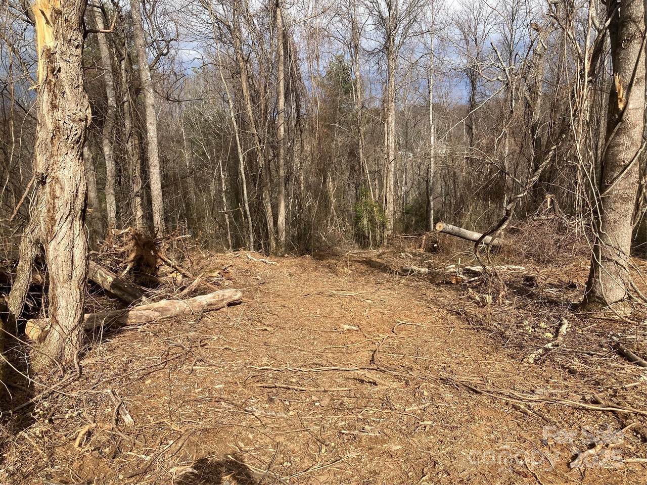 1638 Continental Divide Road - Photo 1