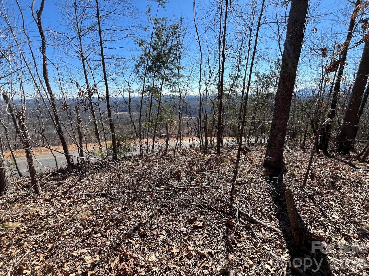 0 Bills Mountain Trail - Photo 1