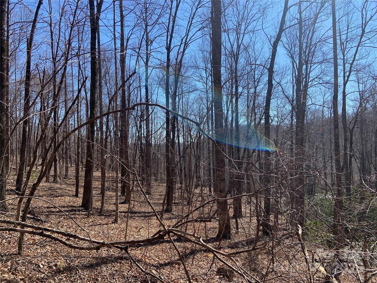 TBD Glen Ridge Trail - Photo 1