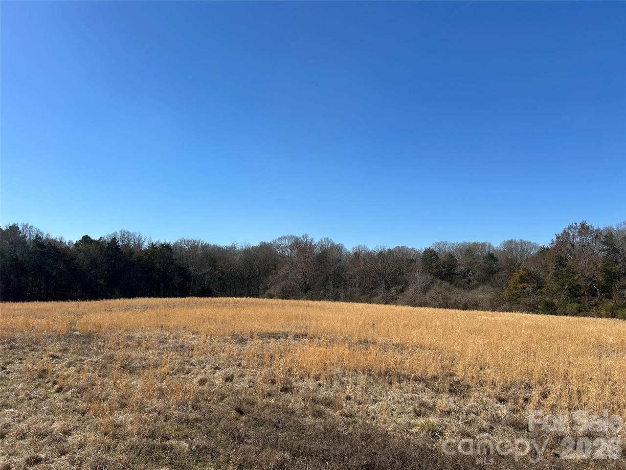 62 Ac Bridgewater Road - Photo 1