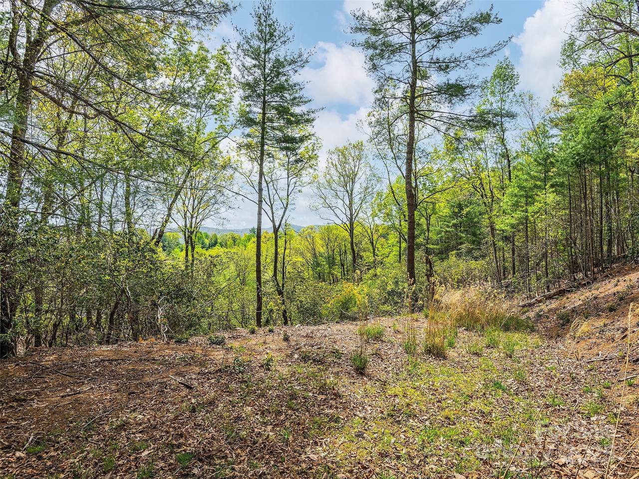 Lot #56 Winterberry Drive - Photo 1
