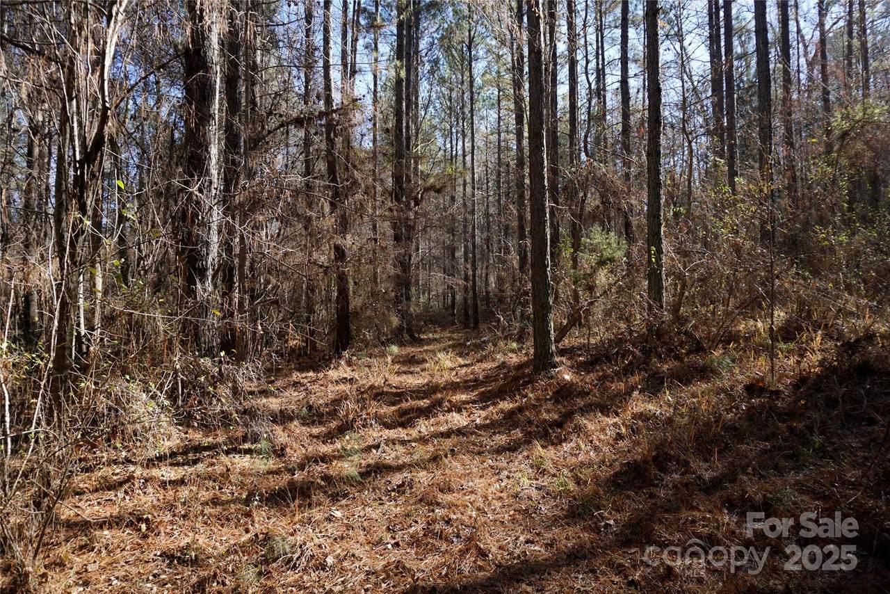 4+/- AC Lot 1 Skyline Road - Photo 1