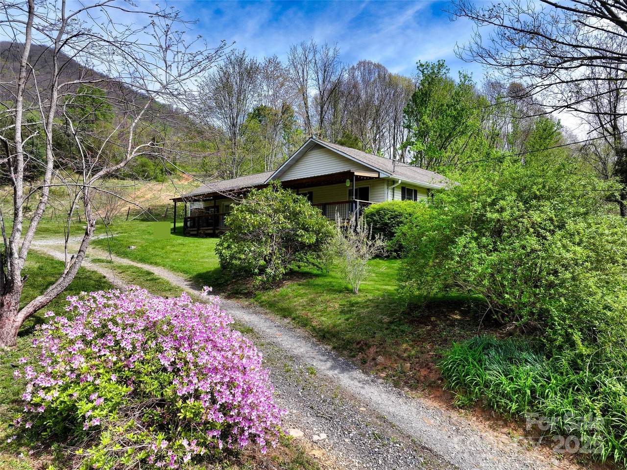 1567 Newfound Road - Photo 1