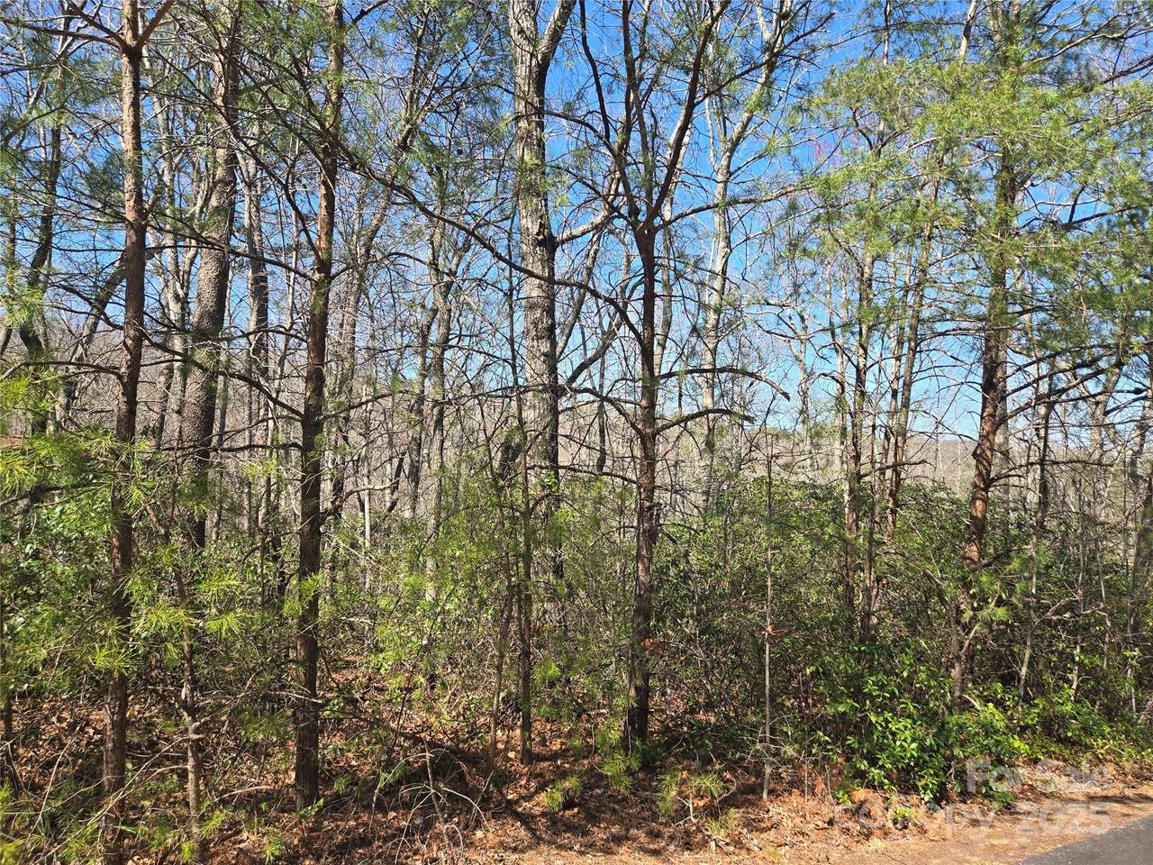 Lot 39 Flynn Court - Photo 1