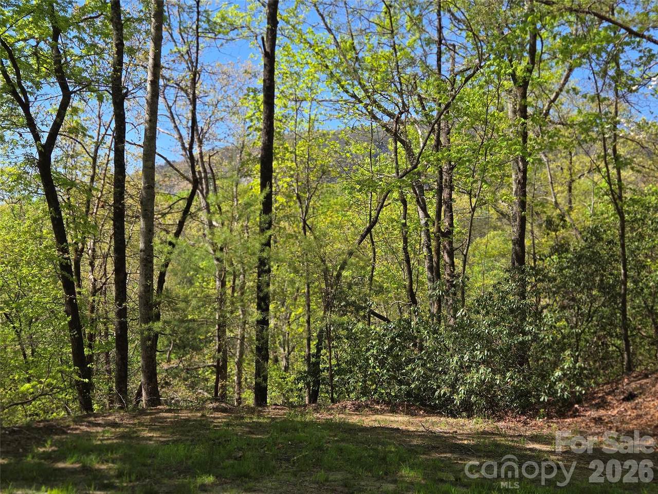 Lot 64 &  65 Walnut Lane - Photo 1