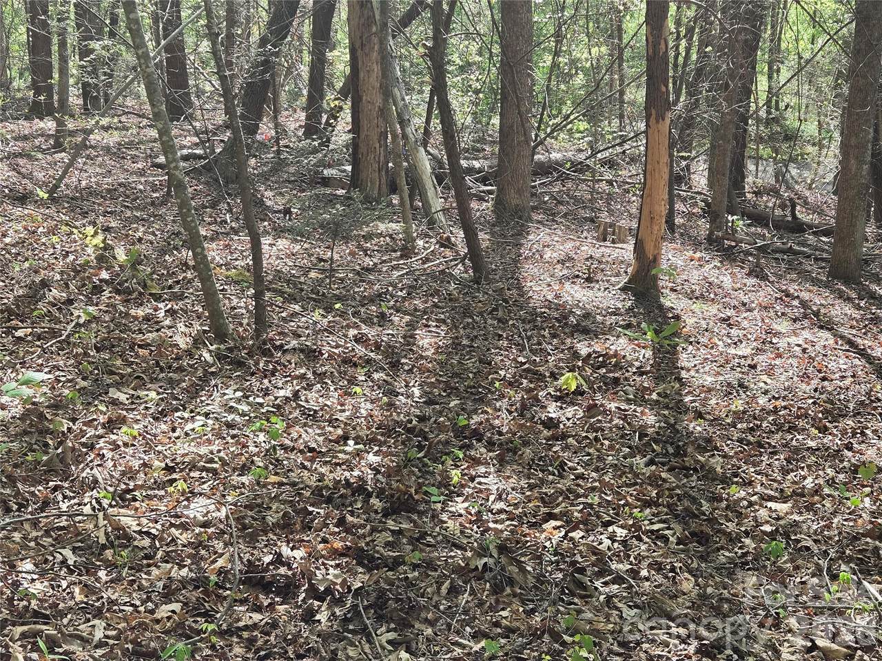 Lot 172 West Lake Drive - Photo 1