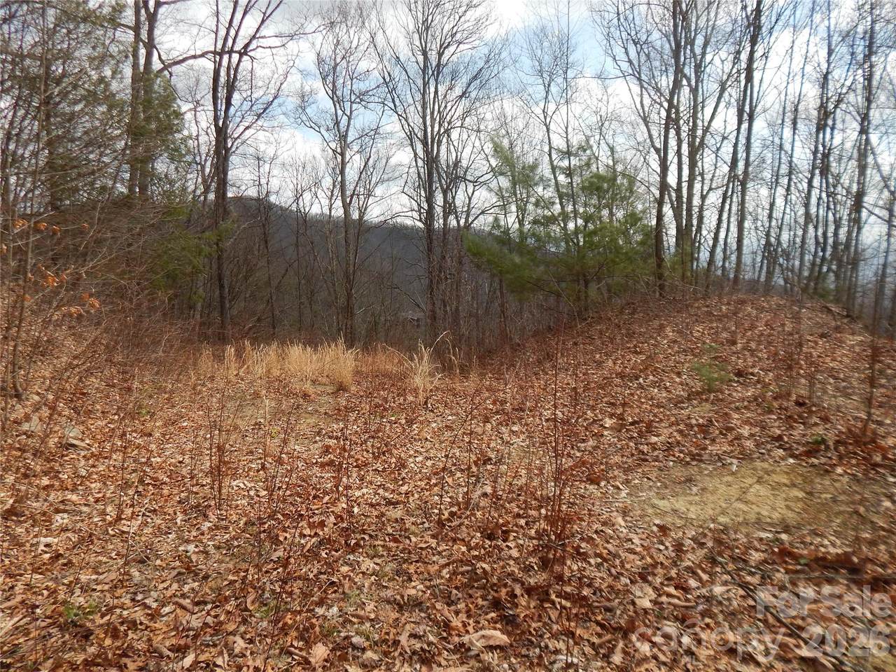 5 Sigogglin Trail - Photo 1