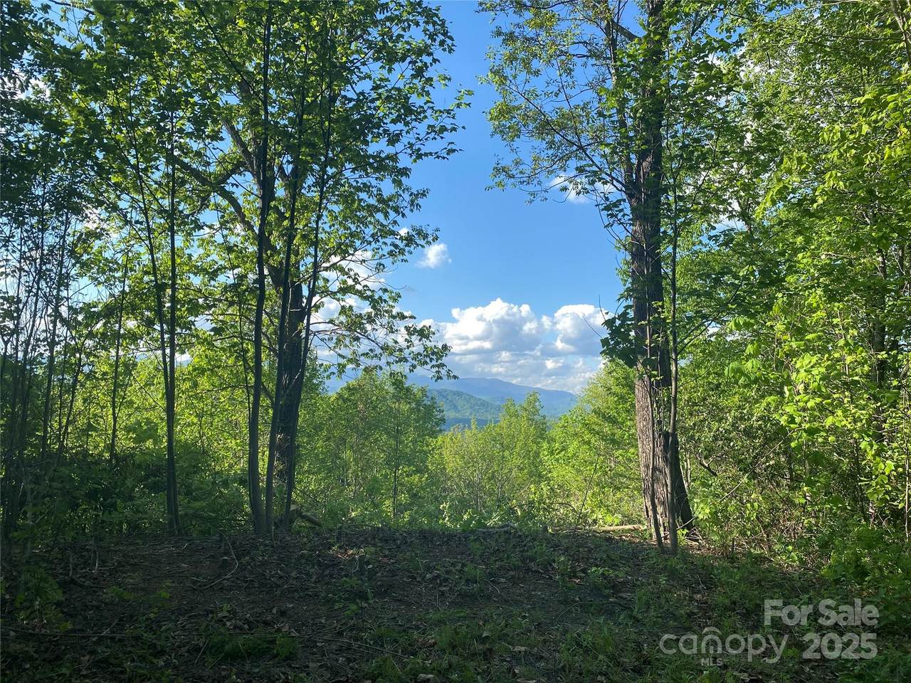 1099 Mitchell View Drive - Photo 1