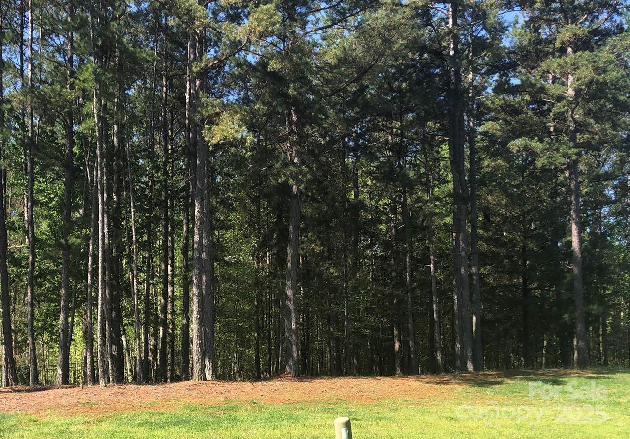 6157 Volte Drive - Photo 1