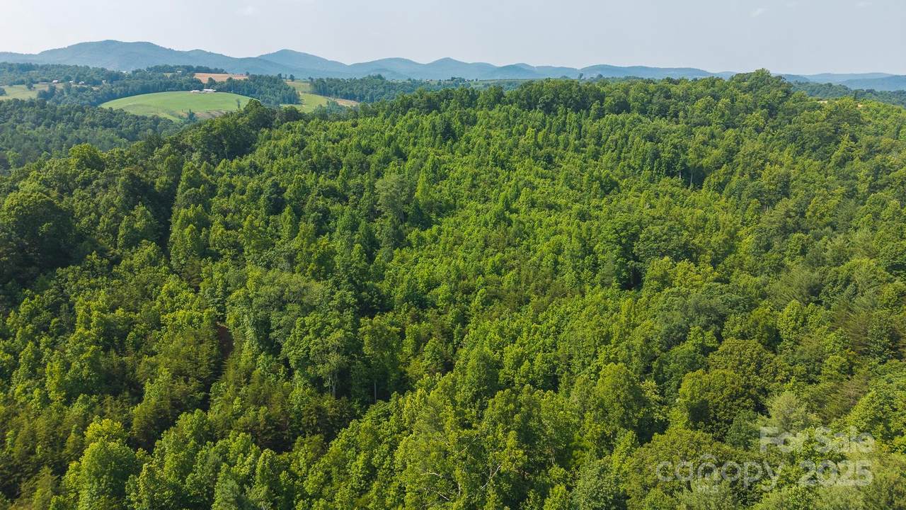 0 Old Vashti Road - Photo 1