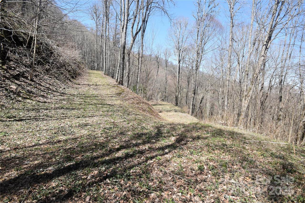 000 Big Laurel Road - Photo 1