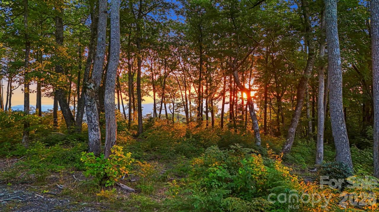 https://bt-photos.global.ssl.fastly.net/cmls/1280_boomver_2_4248239-1.jpg