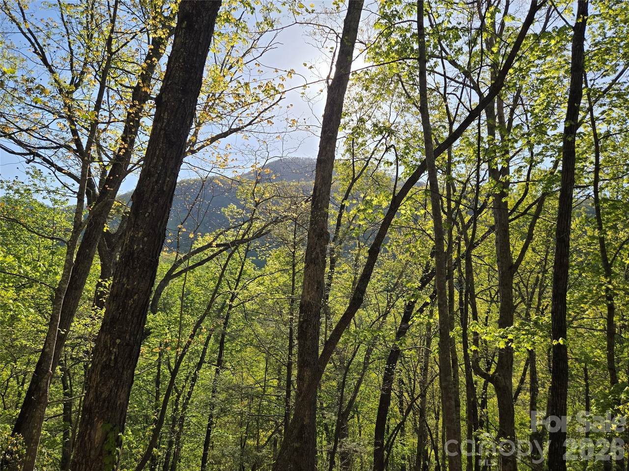 Lot 164 Spanarkel Lane - Photo 1