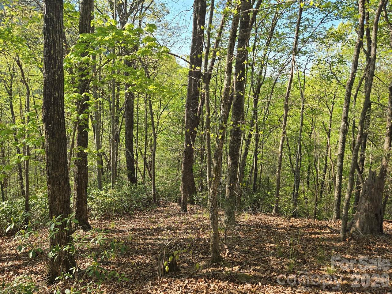 https://bt-photos.global.ssl.fastly.net/cmls/1280_boomver_2_4249255-1.jpg