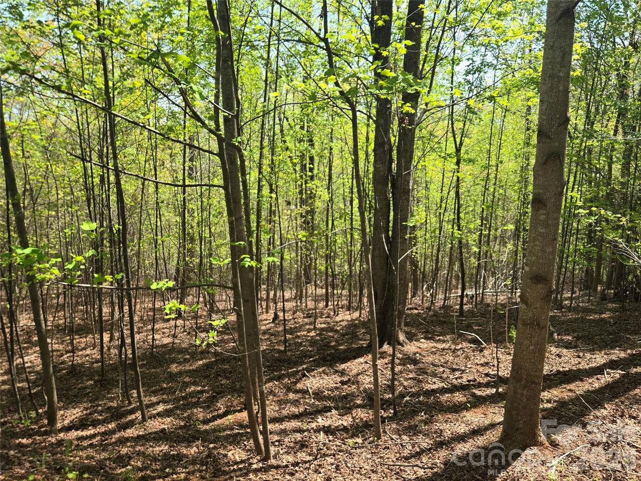 Lot 14 Back Hollow Drive - Photo 1