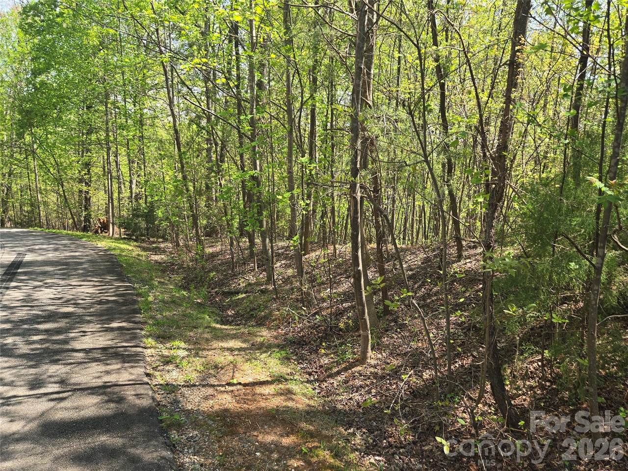 Lot 15 Touch Me Not Trail - Photo 1